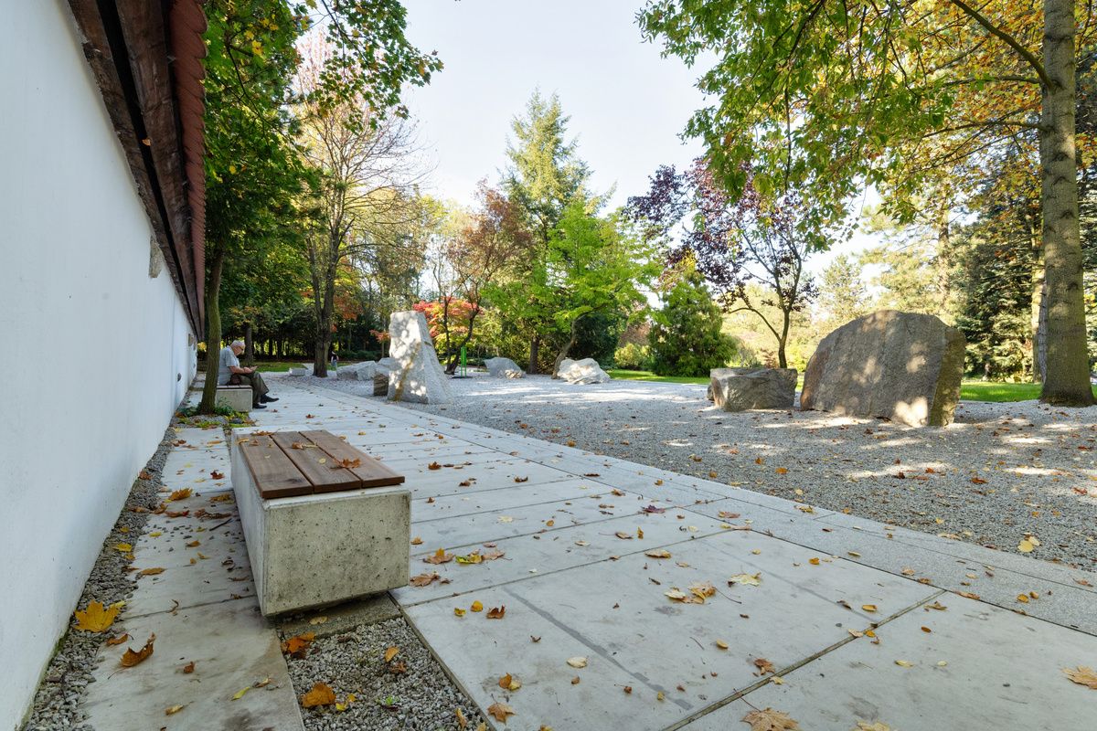 Park, betonlapokon fekvő őszi levelekkel, kövekkel és fákkal a háttérben
